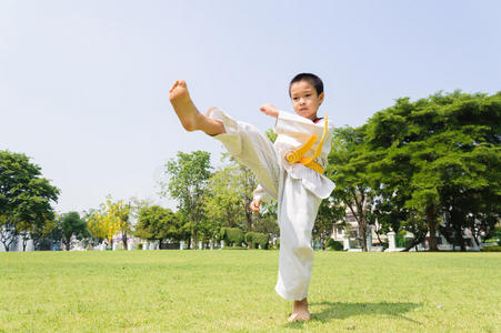 男孩练习跆拳道小男孩跆拳道冠军小跆拳道男孩武术热身小男孩在跆拳道