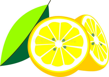 剪贴画 插图 营养 圆圈 维生素 柠檬 柑橘 健康 饮食