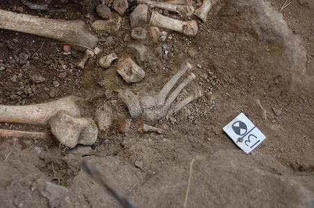 墓地 埋葬 历史 男人 死亡 挖掘 考古学 面对 中间 过去的