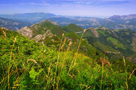 夏季山地景观