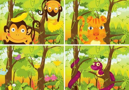 老虎 活的 照片 森林 场景 风景 动物 剪贴画 插图 类人猿