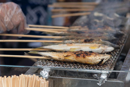 日本 烹调 聚会 食物 火焰 热的 篝火 晚餐 派克 自然