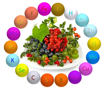矿物 颜色 抗坏血酸 多种 食物 饮食 水果 健康 醋栗