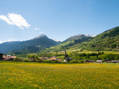 土地 冷杉 欧洲 自然 范围 植物 阿尔卑斯山 牧场 国家