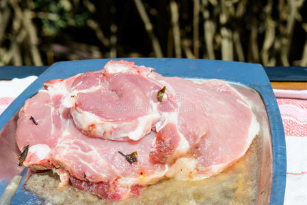 烤的 木炭 热的 牛肉 烹饪 野炊 花园 美味的 烤架 猪肉