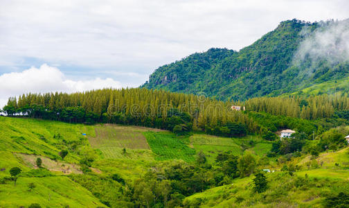 旅行 霍霍 冬天 领域 国家 乡村 风景 场景 美丽的 农业