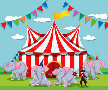 外马戏团的大象图片