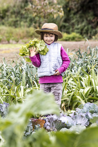 童年 韭菜 美丽的 快乐 享受 秋天 帽子 乐趣 农场 甘蓝