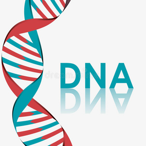 DNA设计。