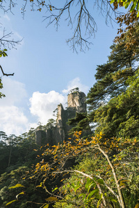 旅行者 上饶 松木 高的 瓷器 三清 花岗岩 地区 中国人