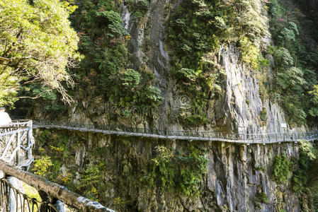 亚洲 旅行 遗产 范围 编队 旅游业 花岗岩 松树 旅游