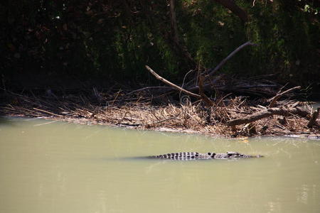 鳄鱼河，卡卡杜国家公园，北领地，澳大利亚