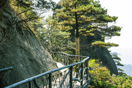 沿着悬崖面建造的一条路