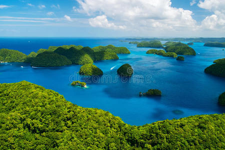 遥远的 美丽的 海洋 假期 夏天 海岸 太平洋 假日 风景