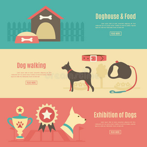 照顾 插图 食物 犬科动物 展览 狗窝 冠军 房子 自然