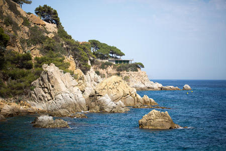 反射 美女 黄昏 海湾 自然 傍晚 地平线 天空 美丽的