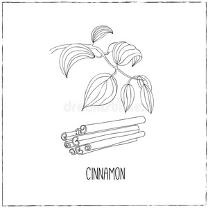 肉桂的花园图片-肉桂的花园素材-肉桂的花园插画-摄图新视界