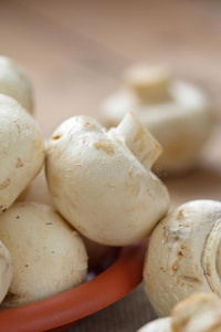 蘑菇 饮食 食物 素食主义者 健康 真菌 蔬菜 自然 营养