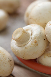 饮食 美食家 素食主义者 真菌 美味的 健康 自然 蘑菇