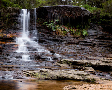 风景 美丽的 岩石 森林 级联 网站 国家的 地质学 澳大利亚