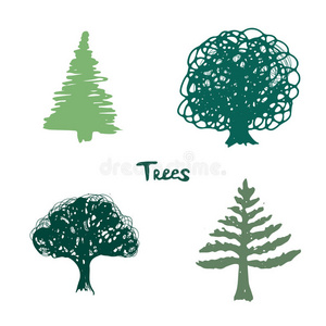 插图 桤木 标记 生长 自然 偶像 枫树 轮廓 绘画 农业