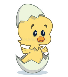 从鸡蛋可爱的卡通小鸡从鸡蛋孵化照片