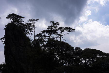 海滨 旅游 花岗岩 范围 天空 遗产 瓷器 风景 上饶 松木