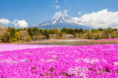 富士山