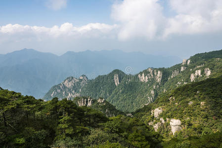 松木 遗产 旅游 江西 三清 风景 海滨 旅行 瓷器 状态