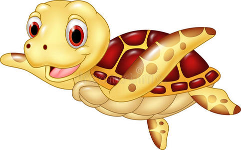 卡通滑稽海龟隔离在白色背景上照片