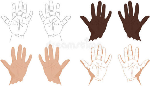 生活 轮廓 概述 棕榈 手势 手指 消息 身体 食指 艺术