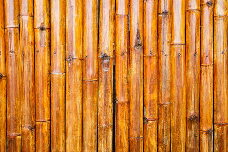 植物 特写镜头 墙壁 纹理 木材 环境 竹子 栅栏 乡村