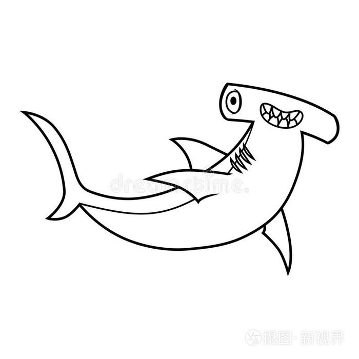 锤头鲨