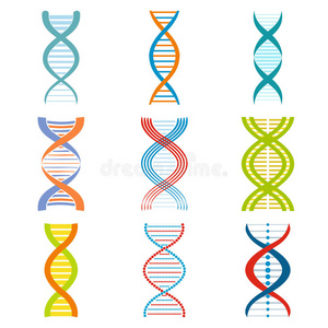 DNA和分子符号集