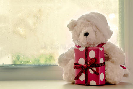 可爱的泰迪熊拿着圣诞礼盒