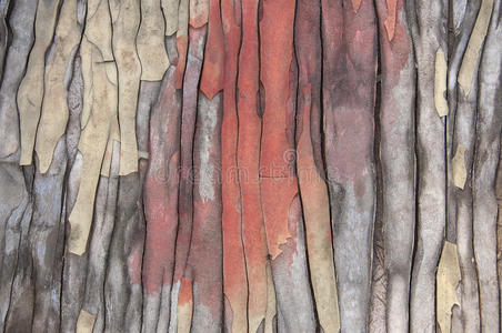 背景旧开裂的木制表面五颜六色