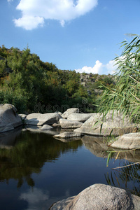 藤条 岩石 石头 风景 夏天 森林 池塘 天空 林地 巨石