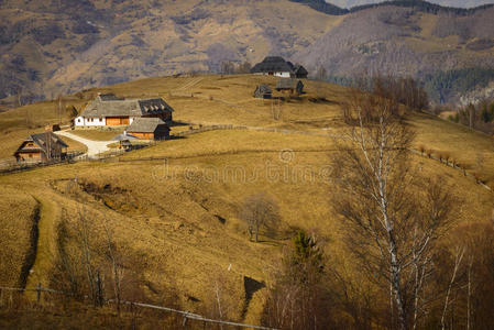 山谷中五颜六色的秋天景观