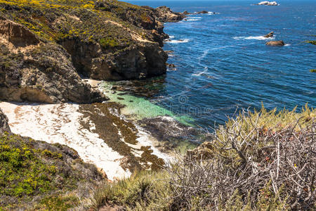 波动 冲浪 藻类 加利福尼亚 灌木 蒙特利 岩石 海湾 海岸线
