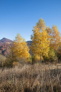 喀尔巴阡山的秋天