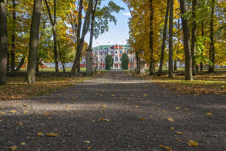 建筑 自然 历史 旅行者 落下 粉红色 秋天 爱沙尼亚 颜色