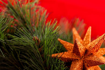 圣诞树和星星装饰品