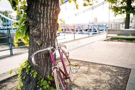 夏天 城市 街道 乌尔巴 公园 娱乐 自行车 齿轮 技术