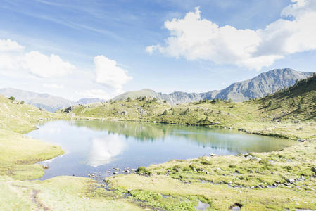 反思 乡村 美丽的 夏天 天空 天堂 水库 泻湖 场景 风景