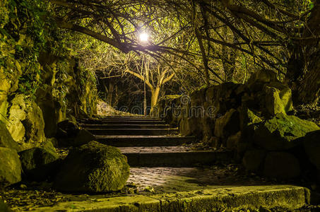 一条可怕的道路，在夜间公园里有楼梯，在树上铺上石栏杆，在罗里有路灯