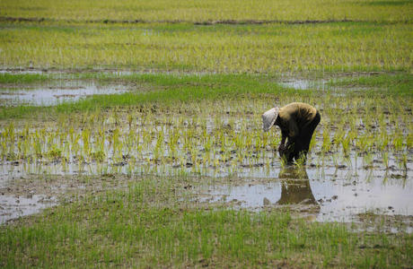 干活的农民图片