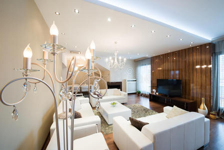 新的 地板 奢侈 建筑学 诺博 公寓 房子 家具 在室内