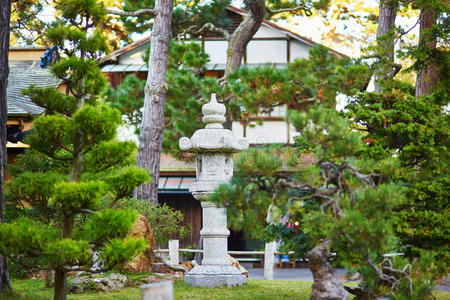 宝塔 自然 美国 旅游业 公园 日本 大门 国家 落下 城市