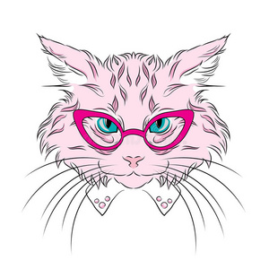 猫是用手画的. 猫矢量. 戴眼镜的猫.照片