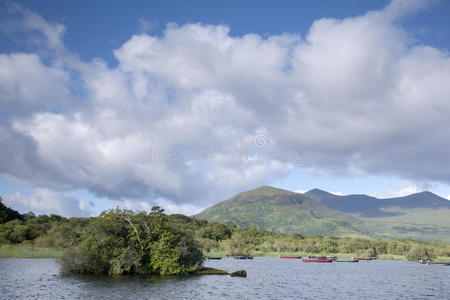 云景 天空 芦苇 风景 国家的 能够 湖水 分支 爱尔兰